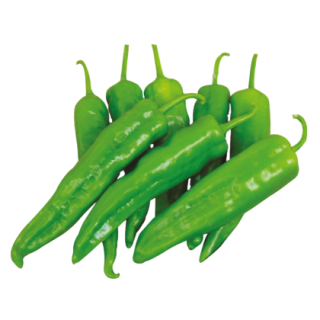 Mazum Hot Pepper From Known You Seed (India)-KYI